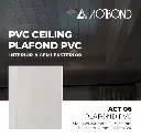 ACT 06.webp