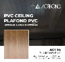 ACT 04.webp