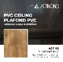 ACT 03.webp
