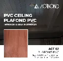 ACT 02.webp