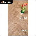 SPC 03.webp