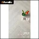 SPC 01.webp