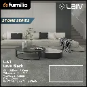L61.webp