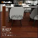 SC 12.webp