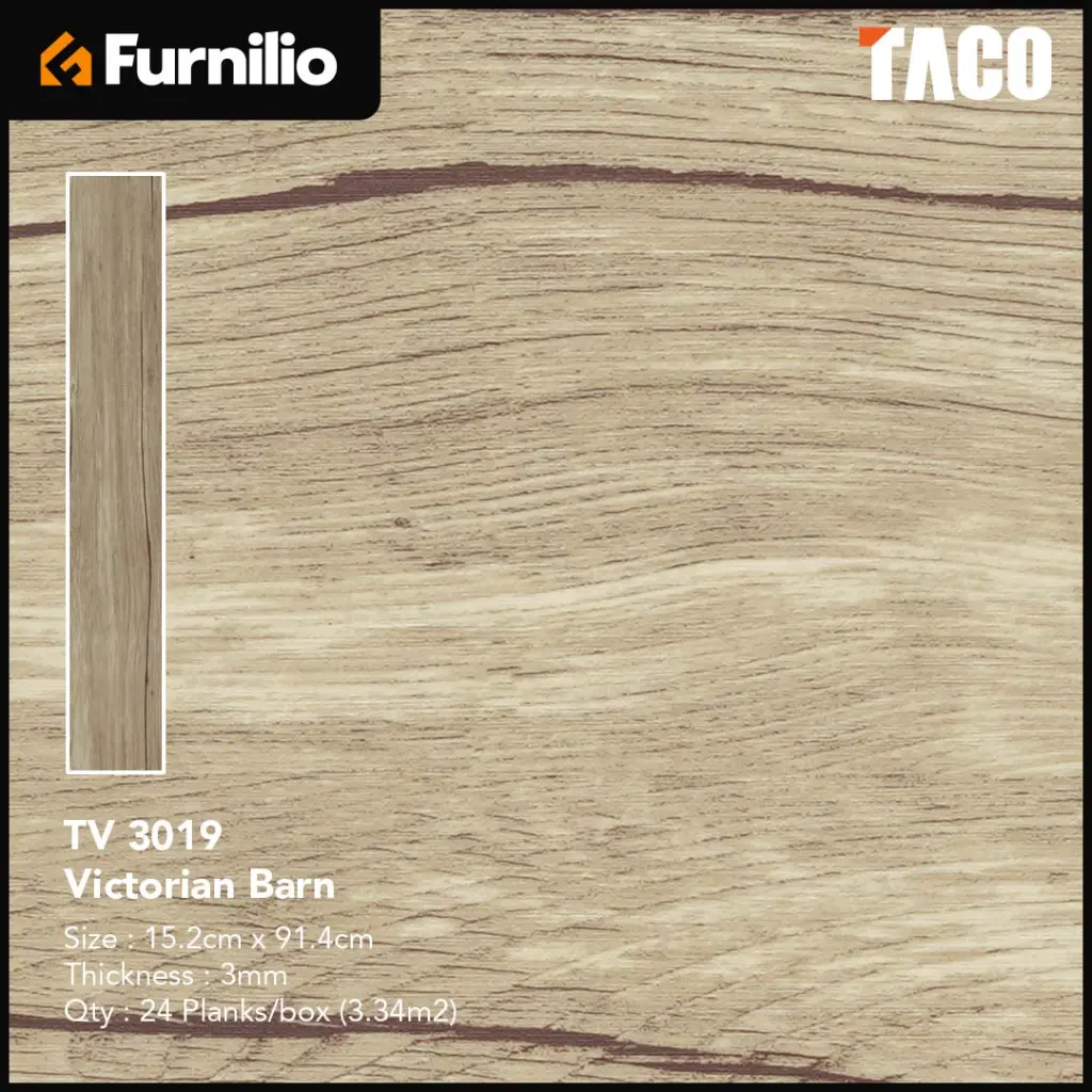 TV 3019.webp