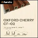 Chiara 15.webp